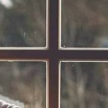 TrizzleCherry's profile picture. Love writing, stamps, seashells, drawing... just hand drawn pencil art from scratch ✍🏻📚🎶🎹🌍🐆🐚👩🏻‍🎨