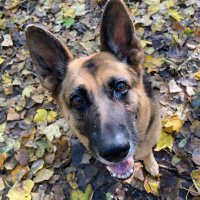 Conny Tschiwa (@connykis) 's Twitter Profile