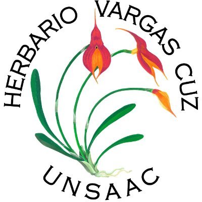 Herbario Vargas CUZ - UNSAAC
Cusco - Peru