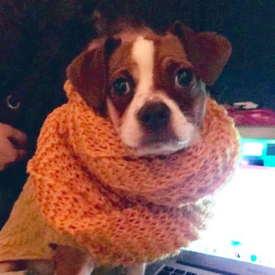 moniqueistired's profile picture. she/hers ♍️ ☀️♊️🌙♐️💫