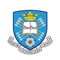 Diversity Champions @ University of Sheffield (@shefudiversity) 's Twitter Profile