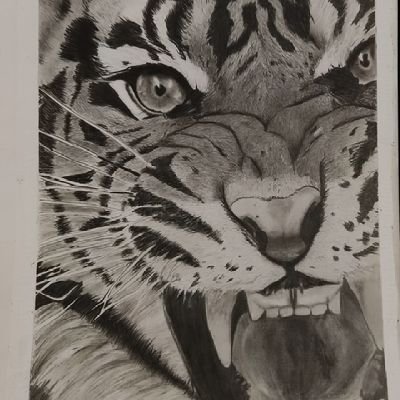 ElizerMichael's profile picture. Artists