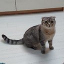 Boram Kim - @BoramKi41048047 - Twitter