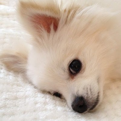 plsmile505's profile picture. 