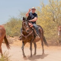 Neil Bassett (@bassettneil) 's Twitter Profile
