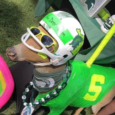 I am Lou. I love Michigan State University and I am a deer. Some people think I have a stick up my ass, but I'm just here to have a good time. #GoGreen