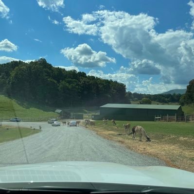 labhigh1965's profile picture. Living in the now.