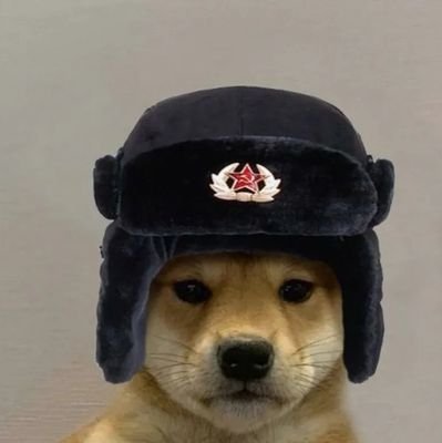 VladimirDogg's profile picture. Woof🇷🇺
