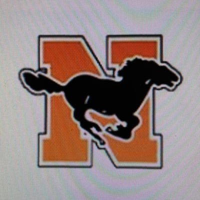 NHSMustangVball Profile Picture