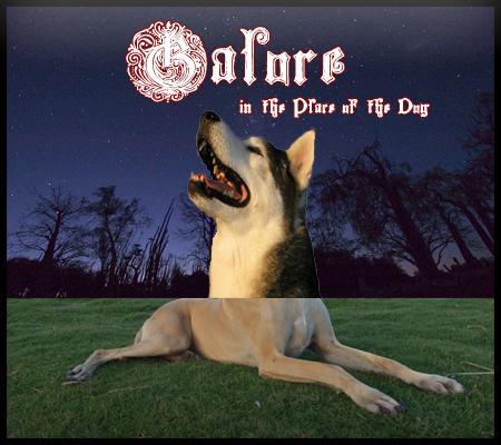 JBerryTGOE's profile picture. Drummer for The Greg Olsen Experience. I hope to be the greatest drummer in the world one day. Currently working on my blast beats.