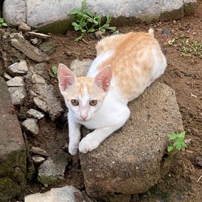 sjksamy's profile picture. Enjoy the moment