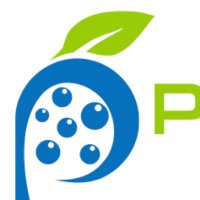 Paragon Pure (@paragonpure) 's Twitter Profile