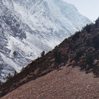 ssmishra01's profile picture. 