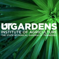 University of Tennessee Gardens(@utgardens) 's Twitter Profile Photo