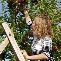 Michelle Vandeloo (@m_vandeloo) 's Twitter Profile