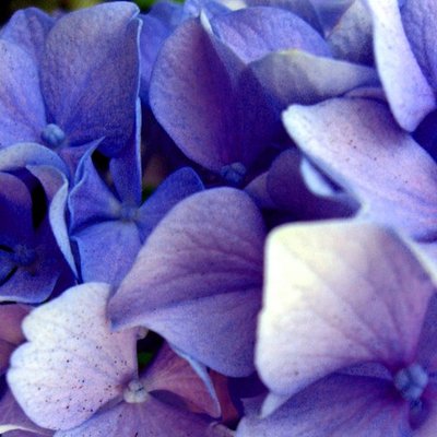 Profile Picture of Anne-Marie Clark JD &nbsp;⚖️ Dare Mighty Things &nbsp;🧭&nbsp;🌎&nbsp;🌍&nbsp;🌏 (@AMWClarkLaw) on Twitter