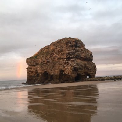 Mgp73Mick's profile picture. 