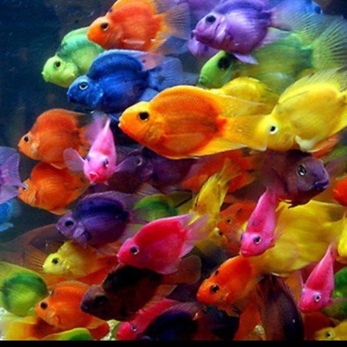 loves_sundays's profile picture. 