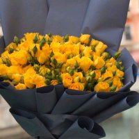 tomaa... (@wzbotqn6nwe2slm) 's Twitter Profile Photo