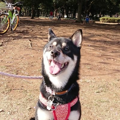 konatsu_IoErts's profile picture.