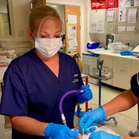 lucy bradley (@lucyb_annp) 's Twitter Profile