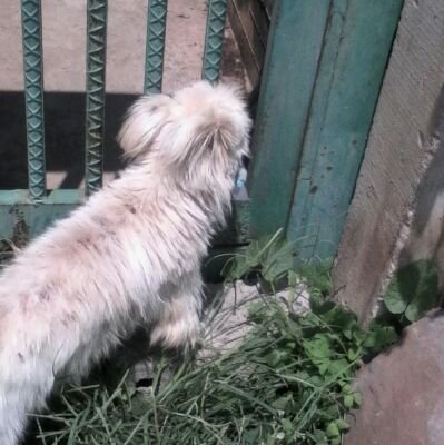 jemocol's profile picture. libre pensador. civilista. sin afiliación política.