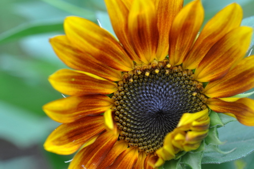 CasonZarro's profile picture. 