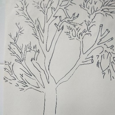 I am drawing a collection of tree 🎄🌴 crypto. #NFT
Opensea:
https://t.co/oOYJByWdup
Rarible: https://t.co/whPhcxQUxt