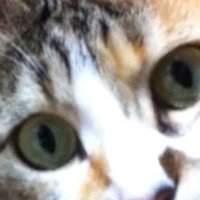 そらさん (@haiku6qlreqccjk) 's Twitter Profile