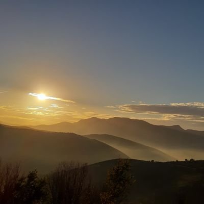 luster26042476's profile picture. 