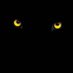Panther The Black (@panthertheblac1) Twitter profile photo Panther The Black (@panthertheblac1) Twitter profile photo