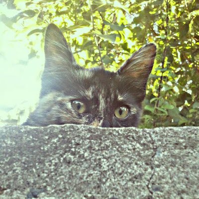 cacerestania99's profile picture. Viví la vida 🙂