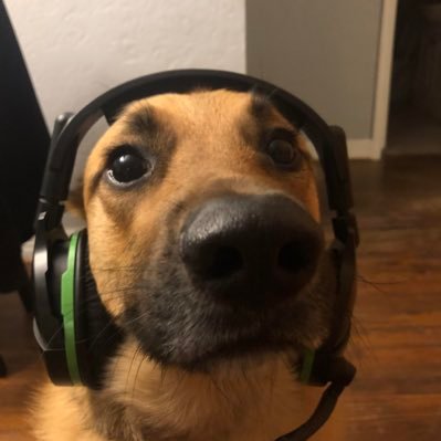 arkeiou's profile picture. 