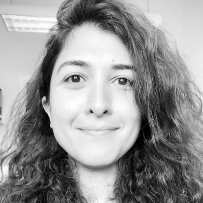 saharpy's profile picture. MD. Ph.D candidate / own views