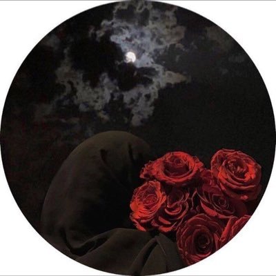 7HF_S Profile Picture