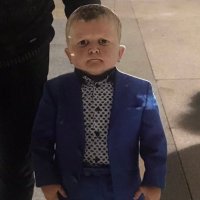 tavo (@tavodota) 's Twitter Profile
