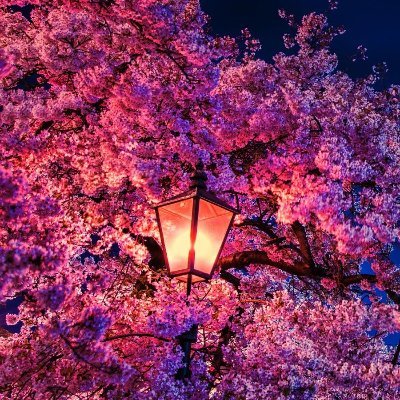 MillerW97854089's profile picture. I love what I like✨