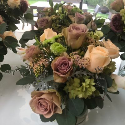 SHepburnGehant's profile picture. 