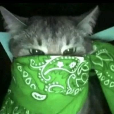 SantigmdDEAD's profile picture. 