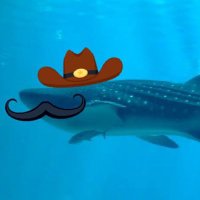 Ol’ Illiterate Whale Shark(@Vhalechark) 's Twitter Profile Photo