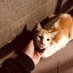borjong (@k96996867) Twitter profile photo borjong (@k96996867) Twitter profile photo