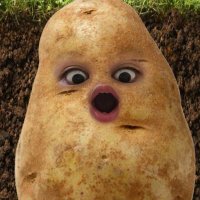 Talisman (@talisman7) 's Twitter Profile