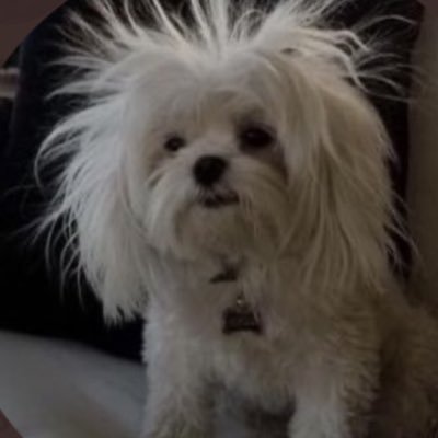 re88465915's profile picture. ♥️💙🇺🇸♥️💙🇺🇸♥️💙🇺🇸