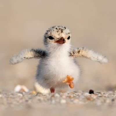 caspridae's profile picture. cas | 28 | moved ➡️ @/greaterblink