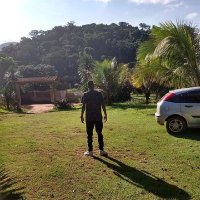 Pablo Pierre-Emerick Aubameyang (@pabloferreiraj7) 's Twitter Profile