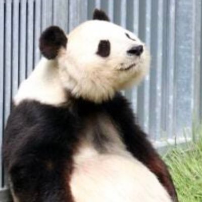 秋の大学費用にて、ローン借り換え。 国は全ての子に平等であるべき。これ、4年前のプロフィール。  来年は大学院、下の子が大学。 未だ奨学金はギリ借りれず。 親の介護費なくなります。戦後の親を持つと金持ちばかりじゃない。日本、どうかしてる
