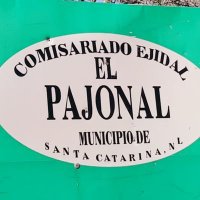 el pajonal (@elpajonalstacat) 's Twitter Profile Photo