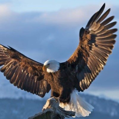 TNPHC730446911's profile picture. Crypto