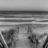 Riad Twal (@riadtwal) Twitter profile photo