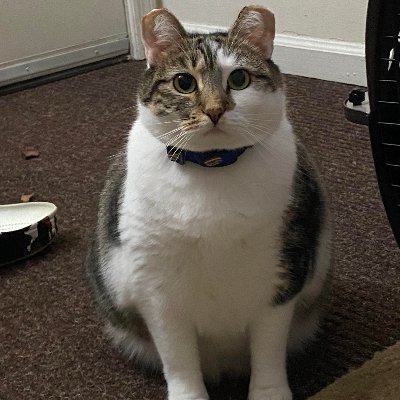 SMDEskom's profile picture. 